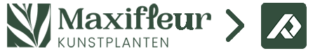 Maxifleur